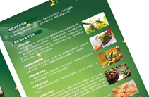 挑选一家郑州专业的画册设计公司